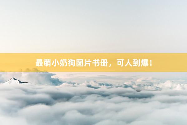 最萌小奶狗图片书册，可人到爆！